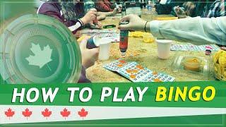 HOW TO PLAY BINGO ONLINE? FULL GUIDE FROM EXPERTS!