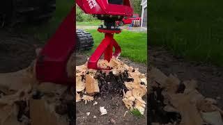 Fecon STUMPEX® Skid Steer Stump Grinder Attachment #shorts #stumpgrinder