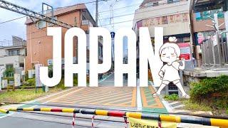 Japan Travel Vlog Aesthetic in Fall/Autumn 2024 & HAUL!  Tokyo and Kyoto, and Plenty of Food