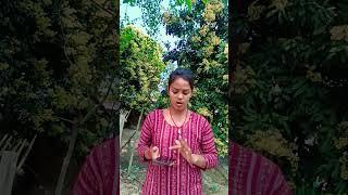 কি করে বল মাঝরাতে ফোন করেছিল ওই মেয়েটাকে #trending #shortvideo #viral #funny #youtubeshorts