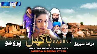 Baghul - Promo | Drama Serial | Starting from 20th May 2023 | Sat & Sun at 7 pm | SindhTVHD Drama