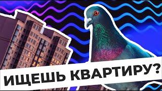 Как быстро и просто найти квартиру?