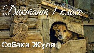 Диктант по русскому языку с проверкой! 1 класс.  Собака Жуля #диктант1класс #диктант