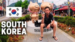 CRAZY! Stranger In Korea Lets Me Stay At His Home! (Bike Touring Korea #3)