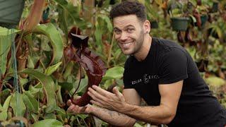 The Exotica Plants Fall Import 2021 Is Here!