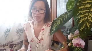 Наташа, ПРОЧИТИ текст под видео. Благовествование от Марка 6.