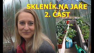 SKLENÍK: PŘÍPRAVA NA SEZÓNU, ÚPRAVA PŮDY, HNOJENÍ, VÝSEV A VÝSADBA. 2.ČÁST
