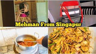 Mehman From Singapur  | New bistr Banay | Life in Village