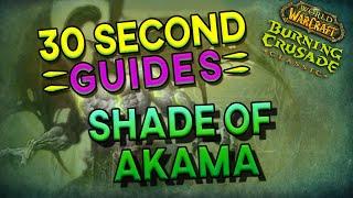 Shade of Akama - Black Temple - 30 Second Guides