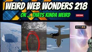 weird web wonders 218
