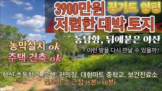 3900만원 대박 저렴한 양평 토지 추천