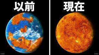 金星上曾經出現過生命