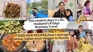 *FEW RANDOM DAYS IN LIFE IN USA*SWEET potato SANDWICH,SEM KI SABJI,Indian Mom Vlogger in AMERICA,H4