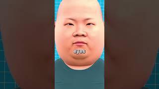 Why Asians Have Small Eyes 