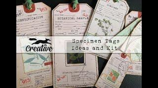 Specimens Tag Ideas and Kit