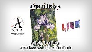 SAA LIVE - Open Day - Irises in Watercolour - Part One with Anita Pounder