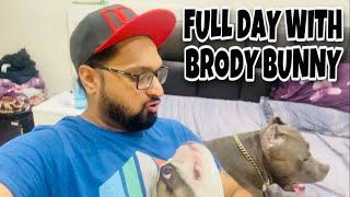 Full Day With Brody & Bunny | Dog Videos | Nagi Vlogs