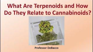 What Are Terpenoids and How Do They Relate to Cannabinoids