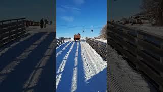 Horse sleigh ride getting ready - Seiser Alm, Trentino Alto Adige, Italy