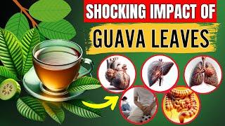 Incredible Benefits of Guava Leaves | 13 Reasons To Drink (Shocking Results)