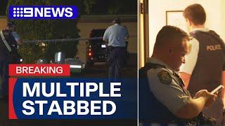 Woman and three children stabbed in Sydney | 9 News Australia