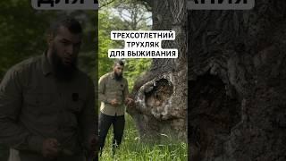 Гениальная идея для разведения костра