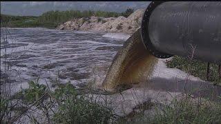 Scientists study future of Caloosahatchee River