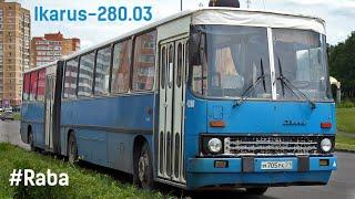 Ikarus 280.03 (Raba-MAN D2156HM6U & ZF S6-90)