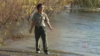 AIS Minute- White Bear Lake (Eurasian Watermilfoil) | Prairie Sportsman