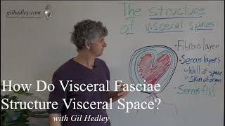 How Do Visceral Fasciae Structure Visceral Space? Learn Integral Anatomy with Gil Hedley