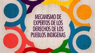 Los pueblos indígenas en América Latina