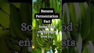 Banana Pepper Fermentation Fact