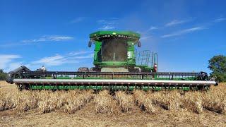 Black Bean Harvest Is Underway In Michigan!!