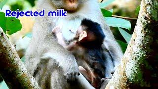 Bad action mom Anna shaking body rejected milk baby Ariana | Very pity baby Aria so much hungry milk