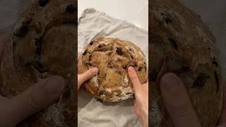 Crusty Cranberry Walnut Bread #satisfying #asmr #bread