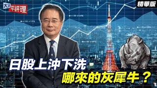 日股上沖下洗 哪來的灰犀牛？【大大平評理精華•蔡正元】