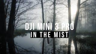 DJI Mini 3 Pro - HOW it flies in THE CLOUDS & MIST?