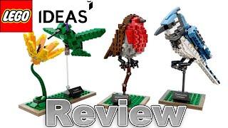 Speed Build & Review LEGO IDEAS Birds | 21301