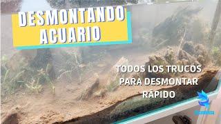 DESMONTANDO ACUARIO || Reinicia tu acuario sin estrés