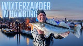 Zanderangeln in Hamburg im Winter! Tipps, Tricks und Gewinnspiel!