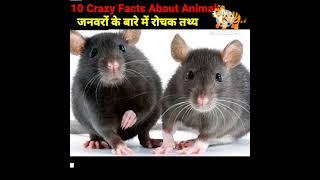 Top 10 Amazing Facts About Animals l Random Facts p Interesting Facts l #fact #shorts #viral