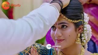 Jagadhatri Promo - 20 June 2024 - Monday to Saturday at 9 PM - Zee Telugu