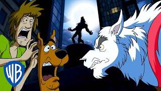 Scooby-Doo! | WEREWOLVES!  | WB Kids