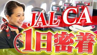 JALのCAに1日密着！普段は見られない裏側が明らかに…