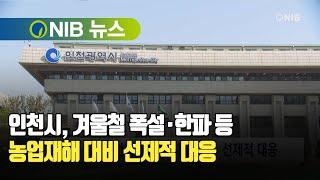 [NIB 뉴스] 인천시, 겨울철 폭설·한파 등 농업재해 대비 선제적 대응