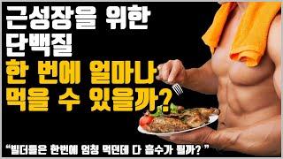 단백질 한 번에 얼마나 먹을 수 있을까?