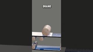 How Papers Are Made From Trees