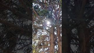 설탕보다 더 위험한 음식3가지!#건강#건강정보#올바른정보
