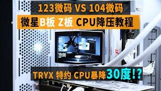 i7暴降30度？！微星B板Z板CPU降压教程 + TRYX全球首款曲面屏水冷测试 【翼王工作室】