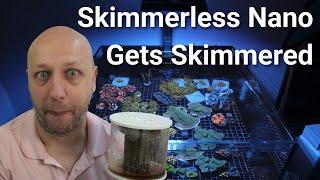 Why I Added A Skimmer | Skimmerless Nano Ep 5